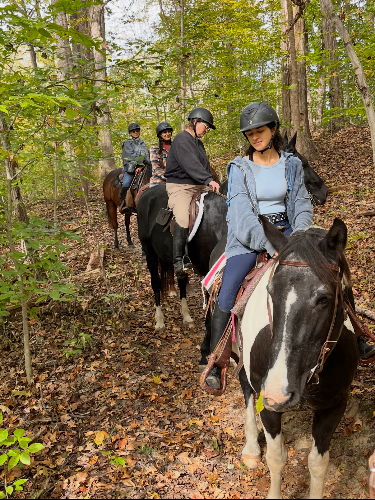 Group of riders on horseback on a wooded Maryland trail